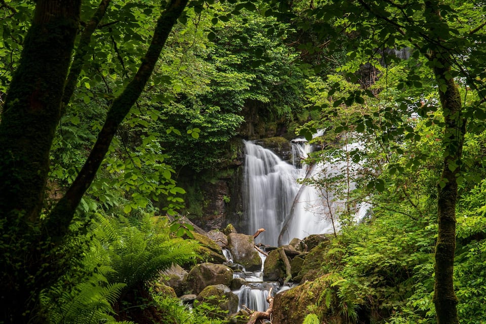 Una cascada rodeada de frondosa vegetación verde.