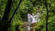 Torc Waterfall which includes forest scenes and a cascade