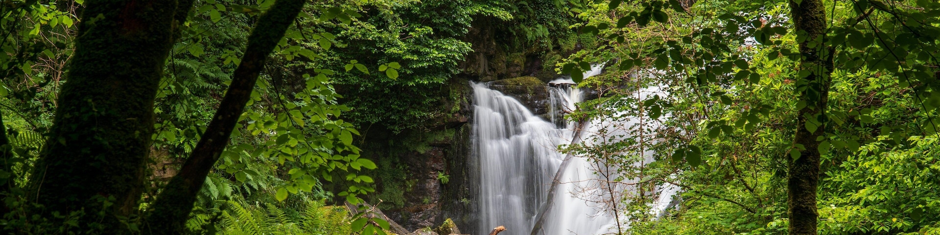 Torc Waterfall which includes forest scenes and a cascade