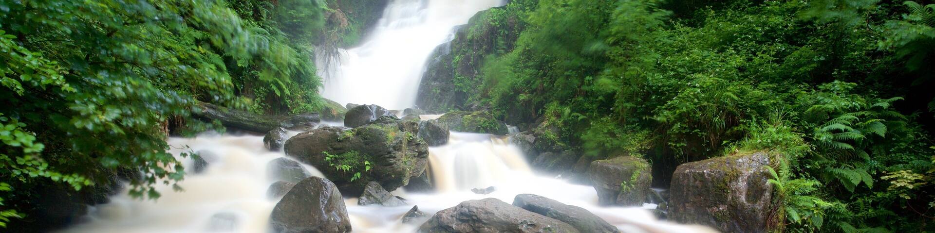 A waterfall surrounded by lush greenery.