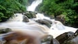A waterfall surrounded by lush greenery.