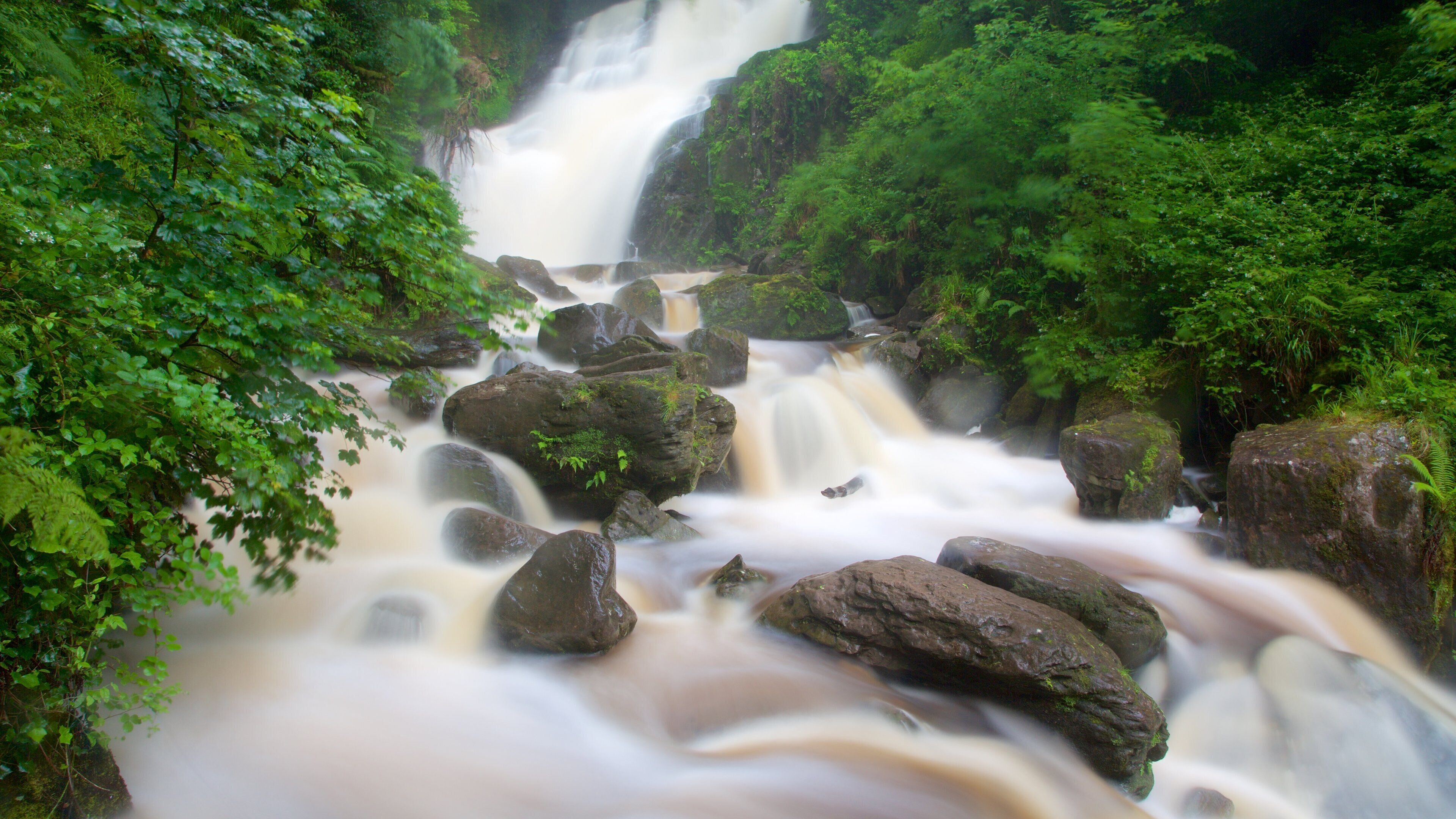 A waterfall surrounded by lush green foliage.