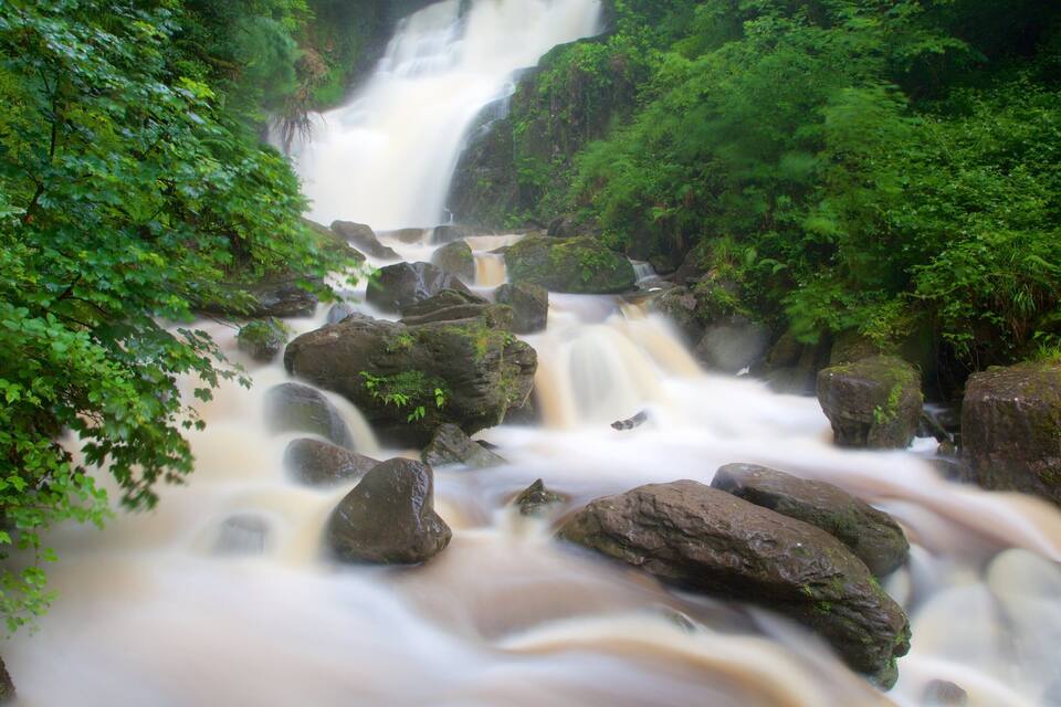 A waterfall surrounded by lush green foliage.