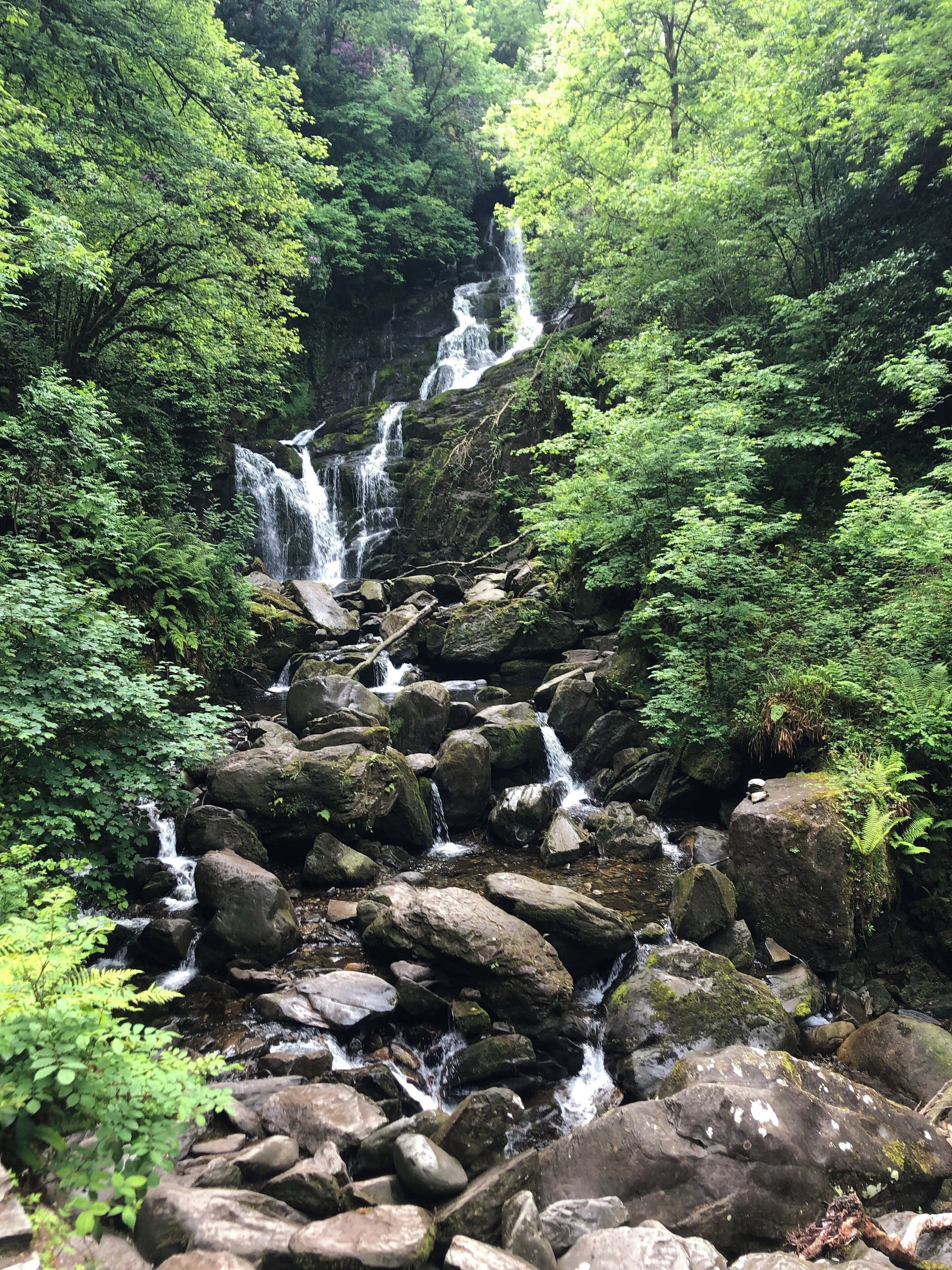 A multi-tiered waterfall surrounded by dense green foliage.
