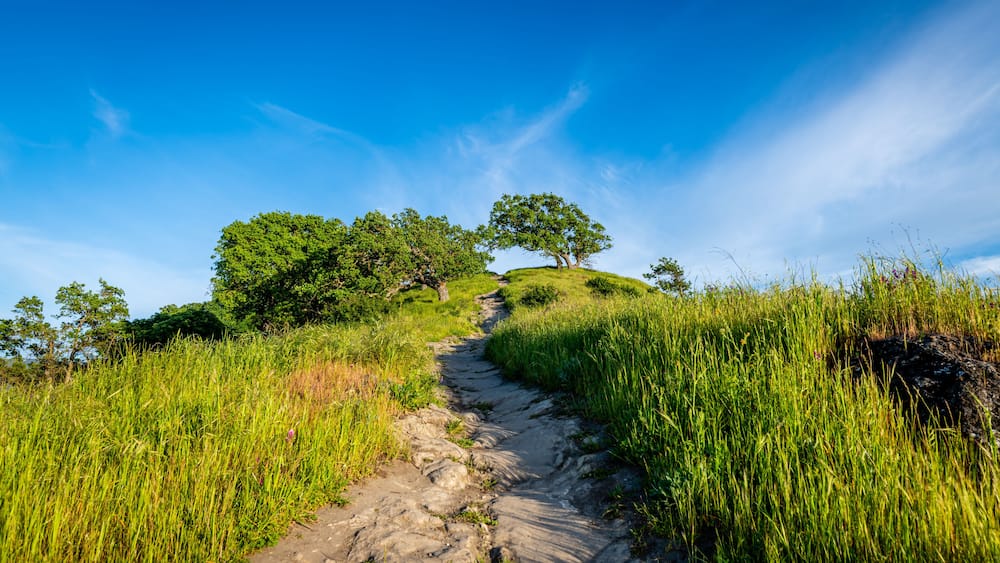 Shell Ridge and Mount Diablo State Park