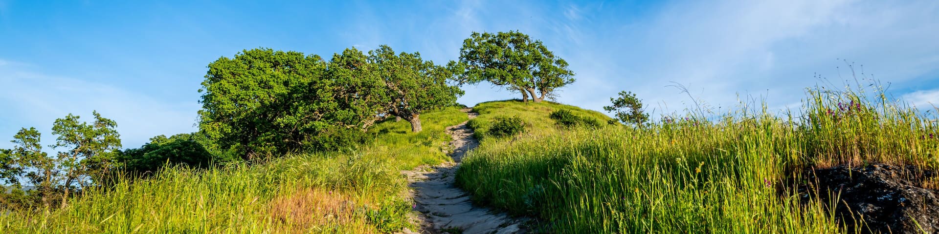 Shell Ridge and Mount Diablo State Park