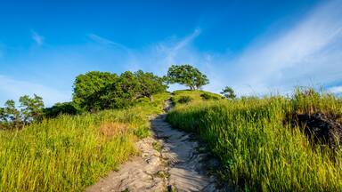 Shell Ridge and Mount Diablo State Park