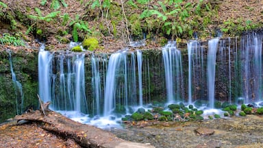 Uma cascata em vários níveis, com rochas cobertas de musgo e samambaias.
