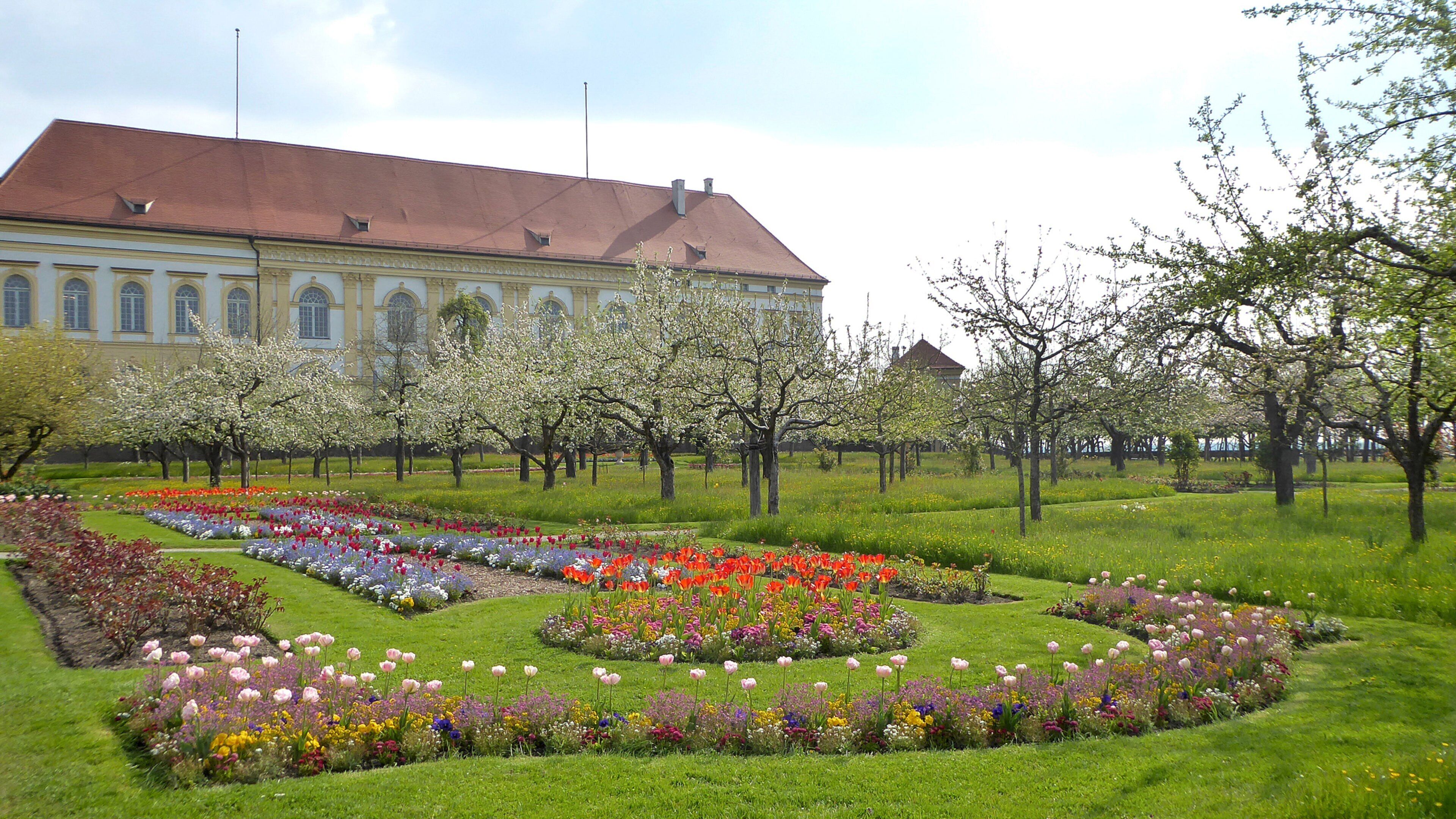 Dachau Palace which includes a garden and flowers