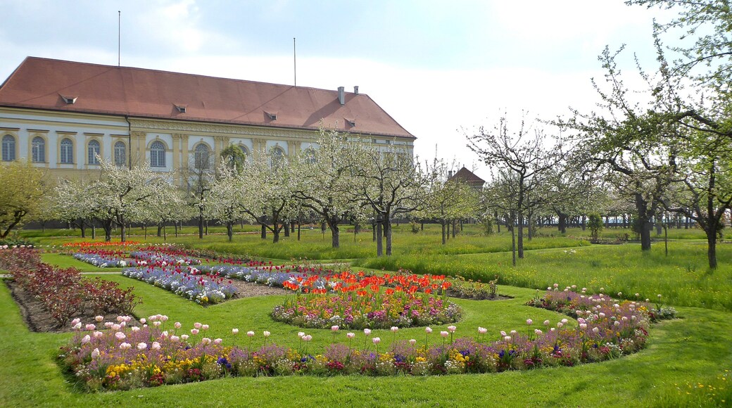 Dachau Palace which includes a garden and flowers