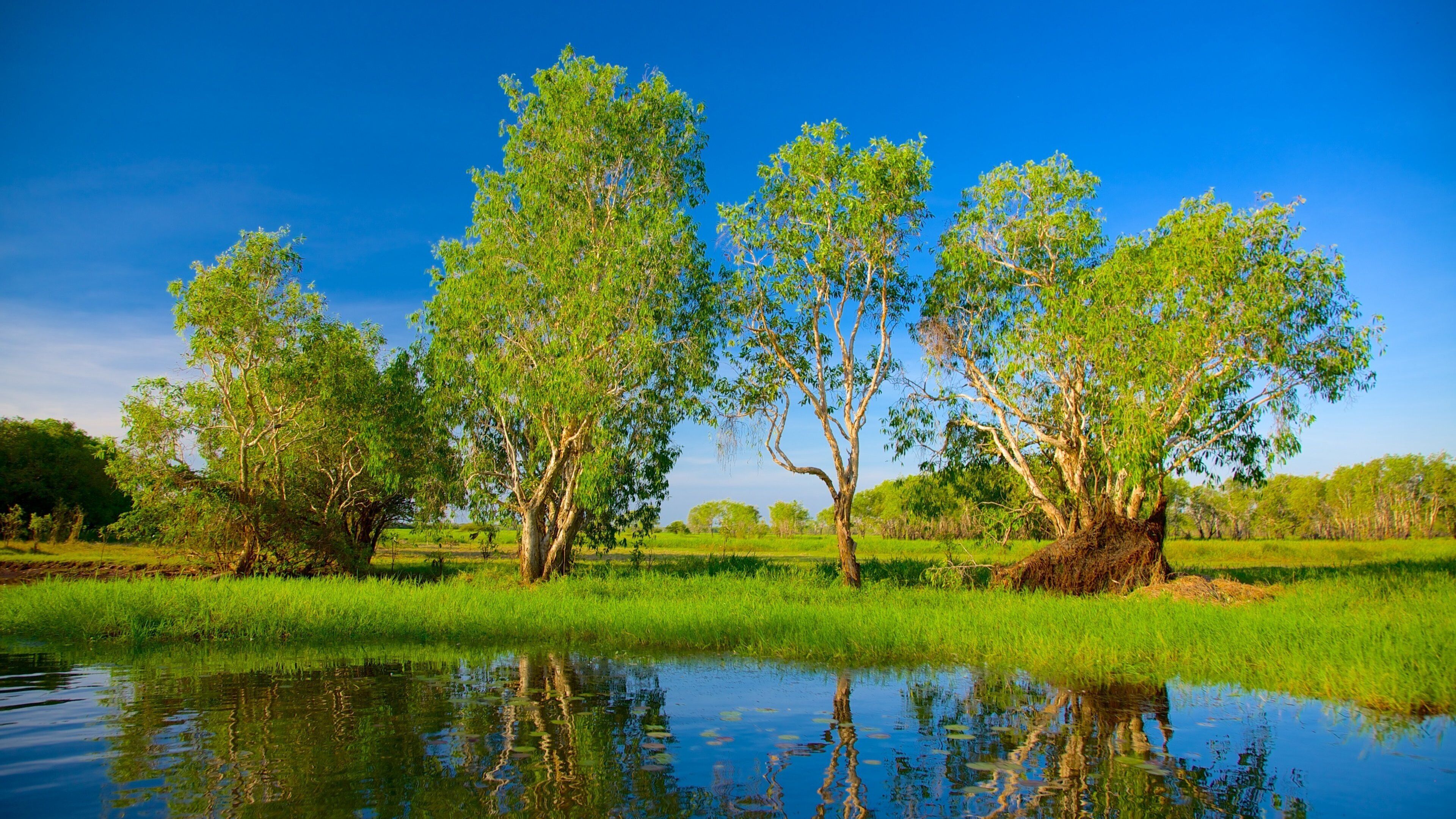 Parc national de Kakadu mettant en vedette zone humide