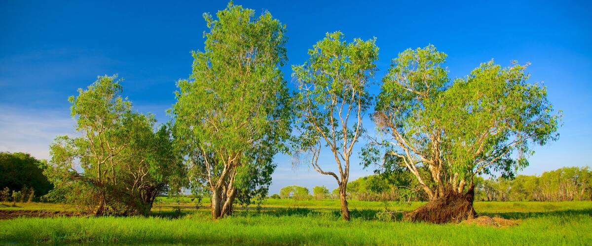 Nationaal Park Kakadu bevat wetlands