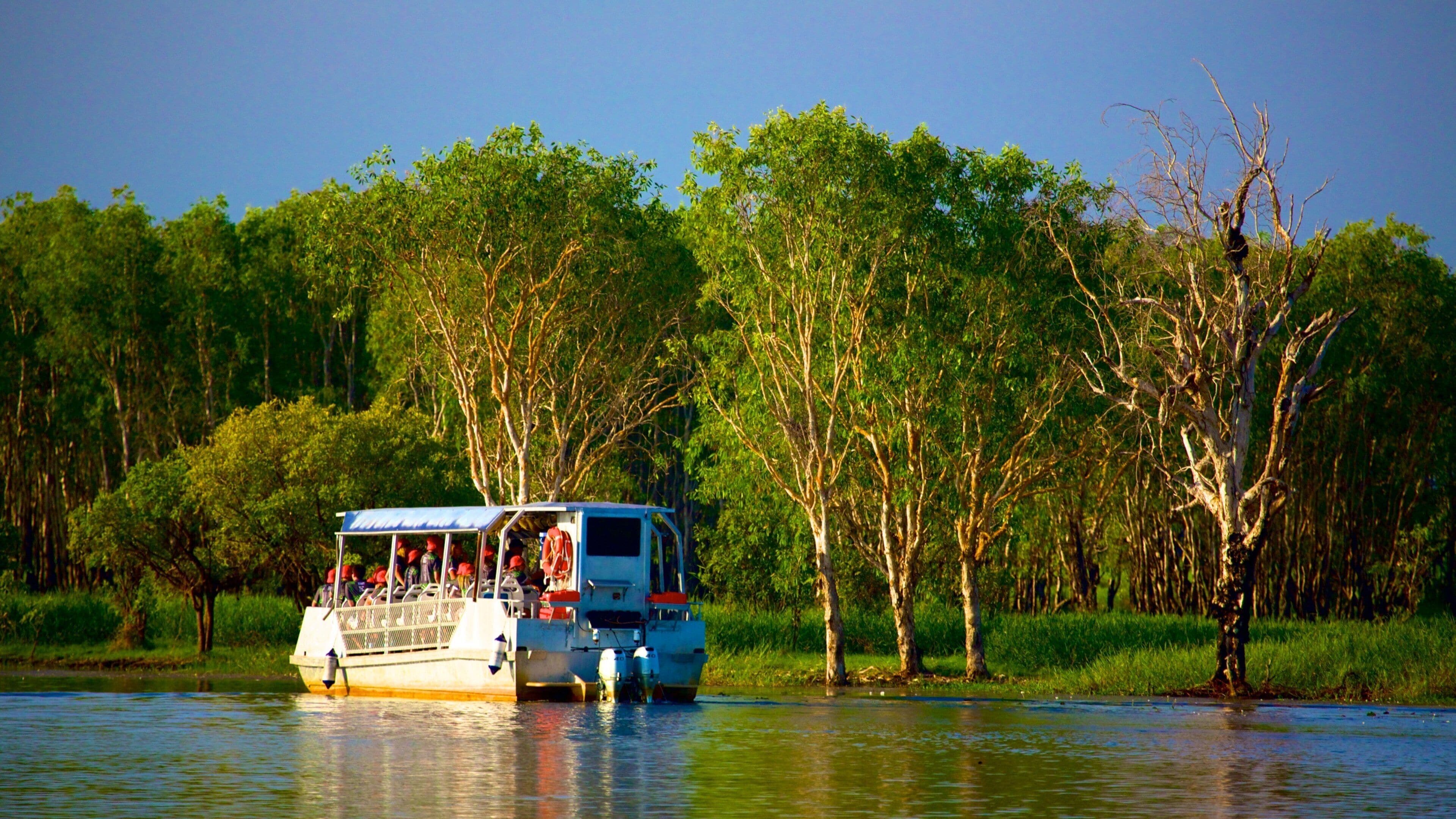 Yellow Water Billabong which includes boating and a river or creek