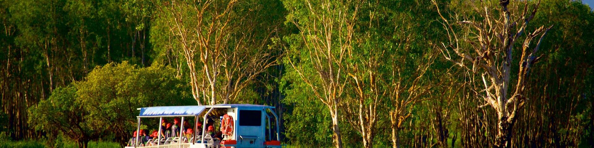 Yellow Water Billabong which includes boating and a river or creek