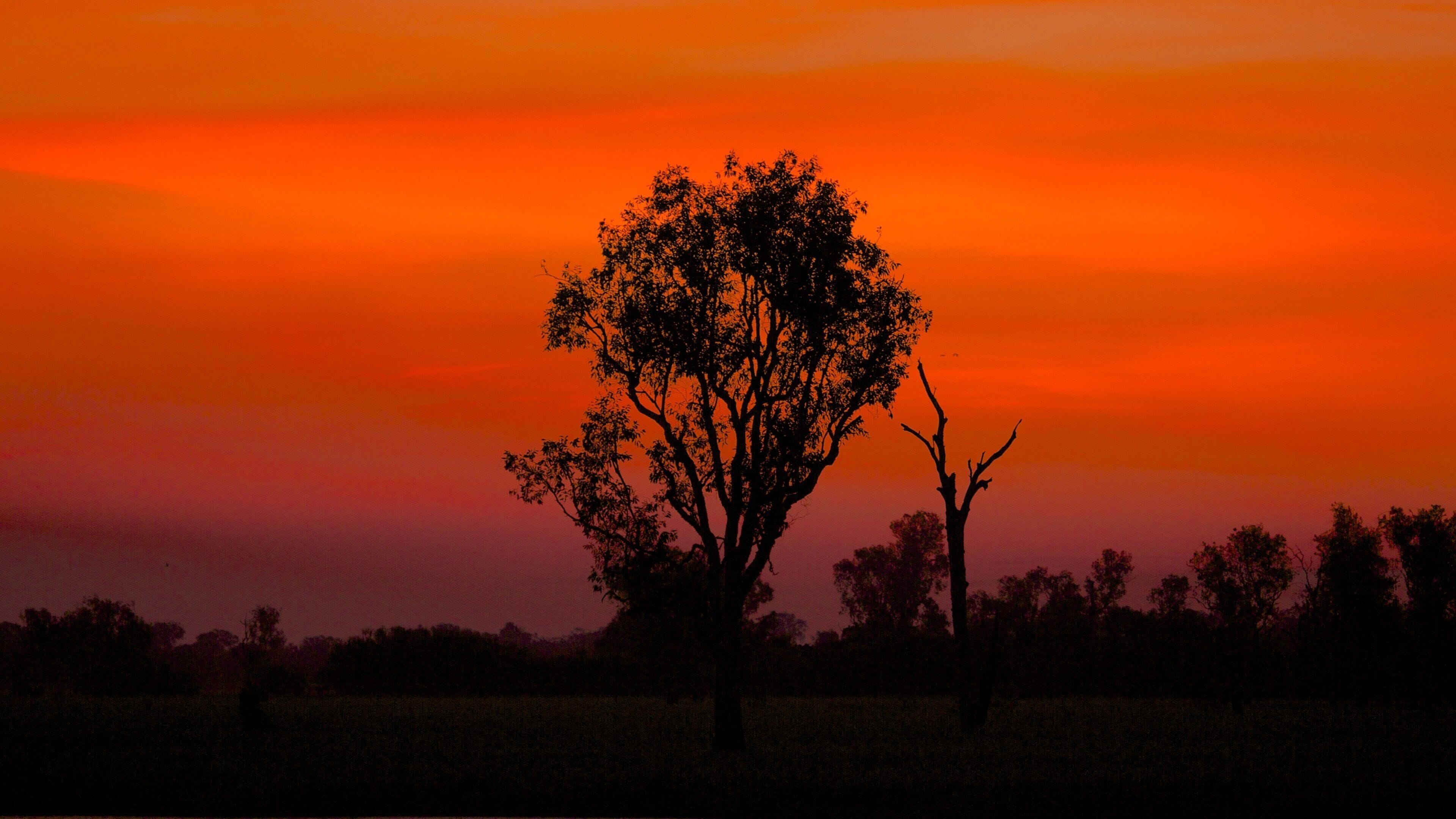 Yellow Water Billabong featuring a sunset