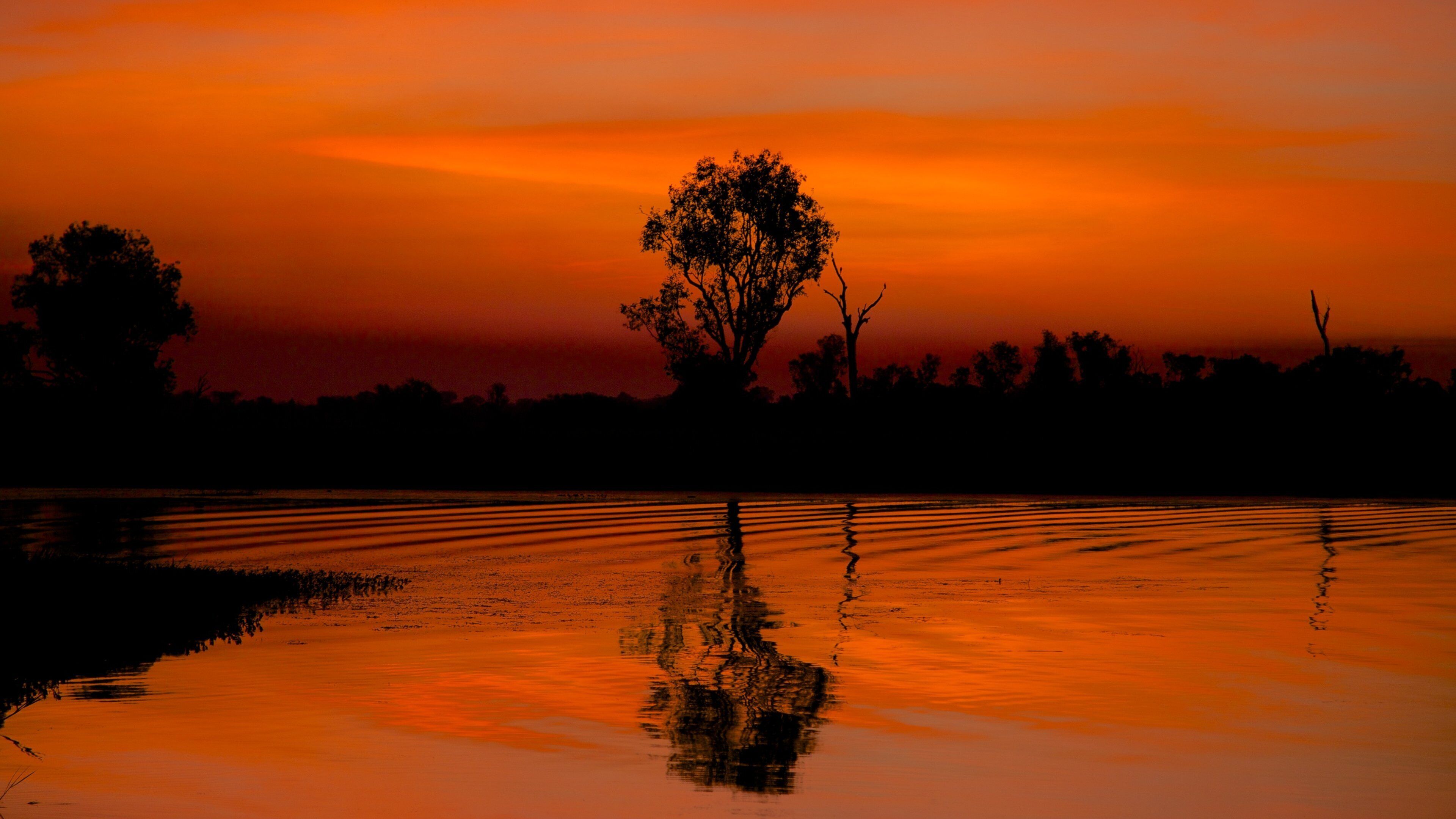 A sunset over a calm water body with a tree silhouette and its reflection.