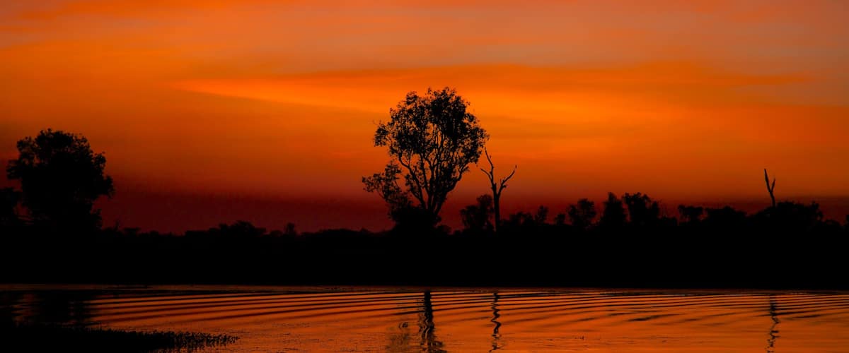 A sunset over a calm water body with a tree silhouette and its reflection.