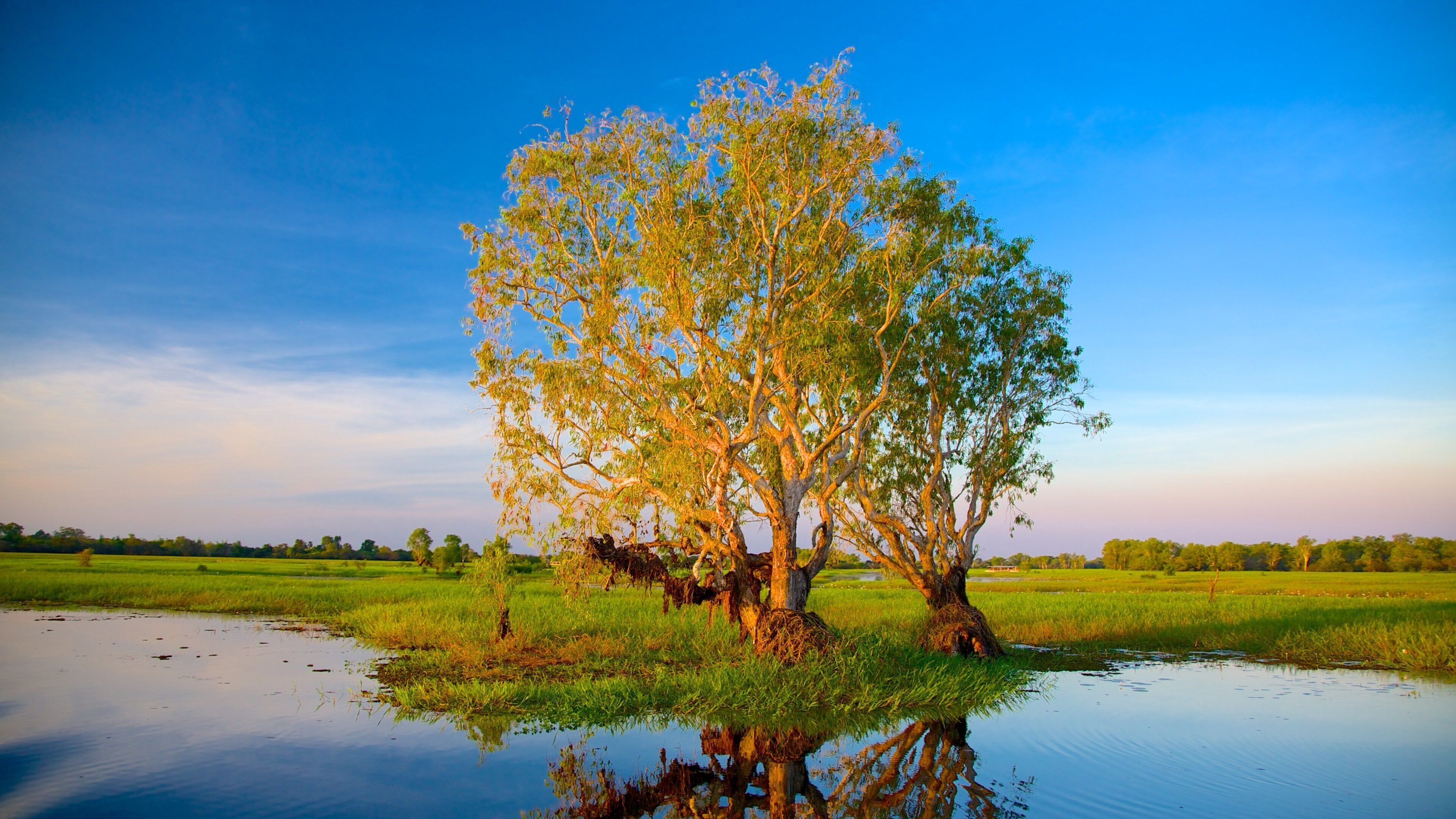 Kakadu National Park featuring wetlands