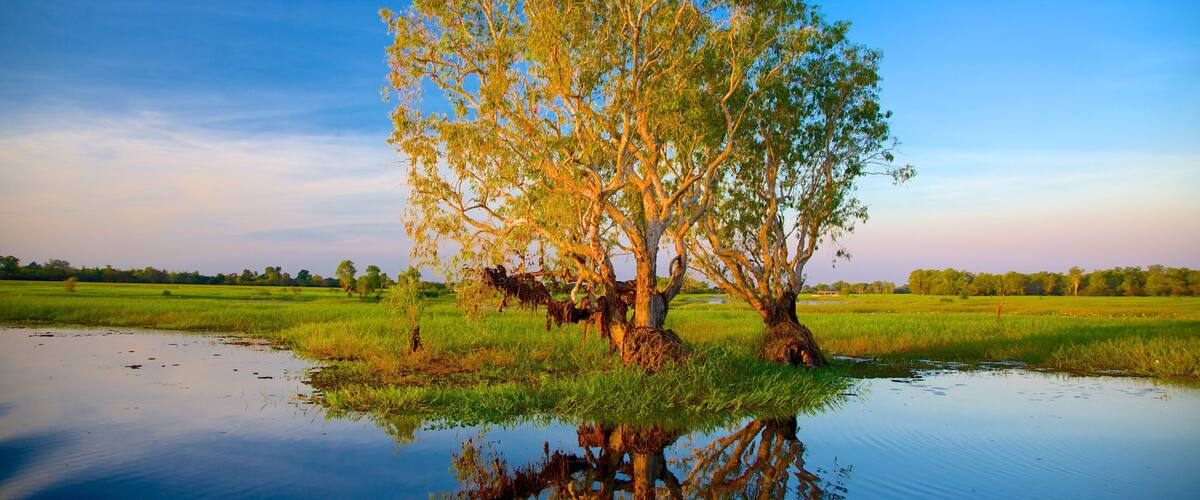 Kakadu National Park which includes wetlands