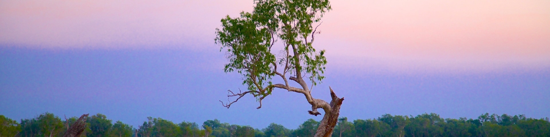 Kakadu National Park which includes a sunset