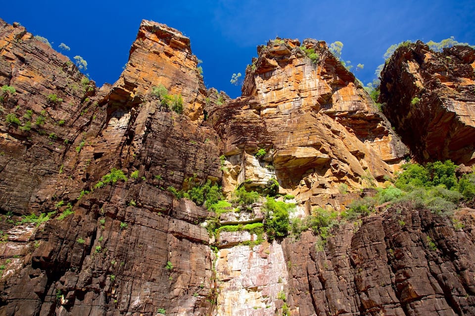 A canyon with layered rock formations and sparse vegetation.