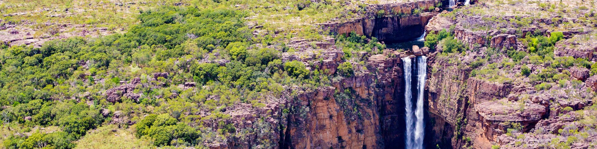 Una cascada se precipita por un acantilado empinado rodeado de vegetación verde.