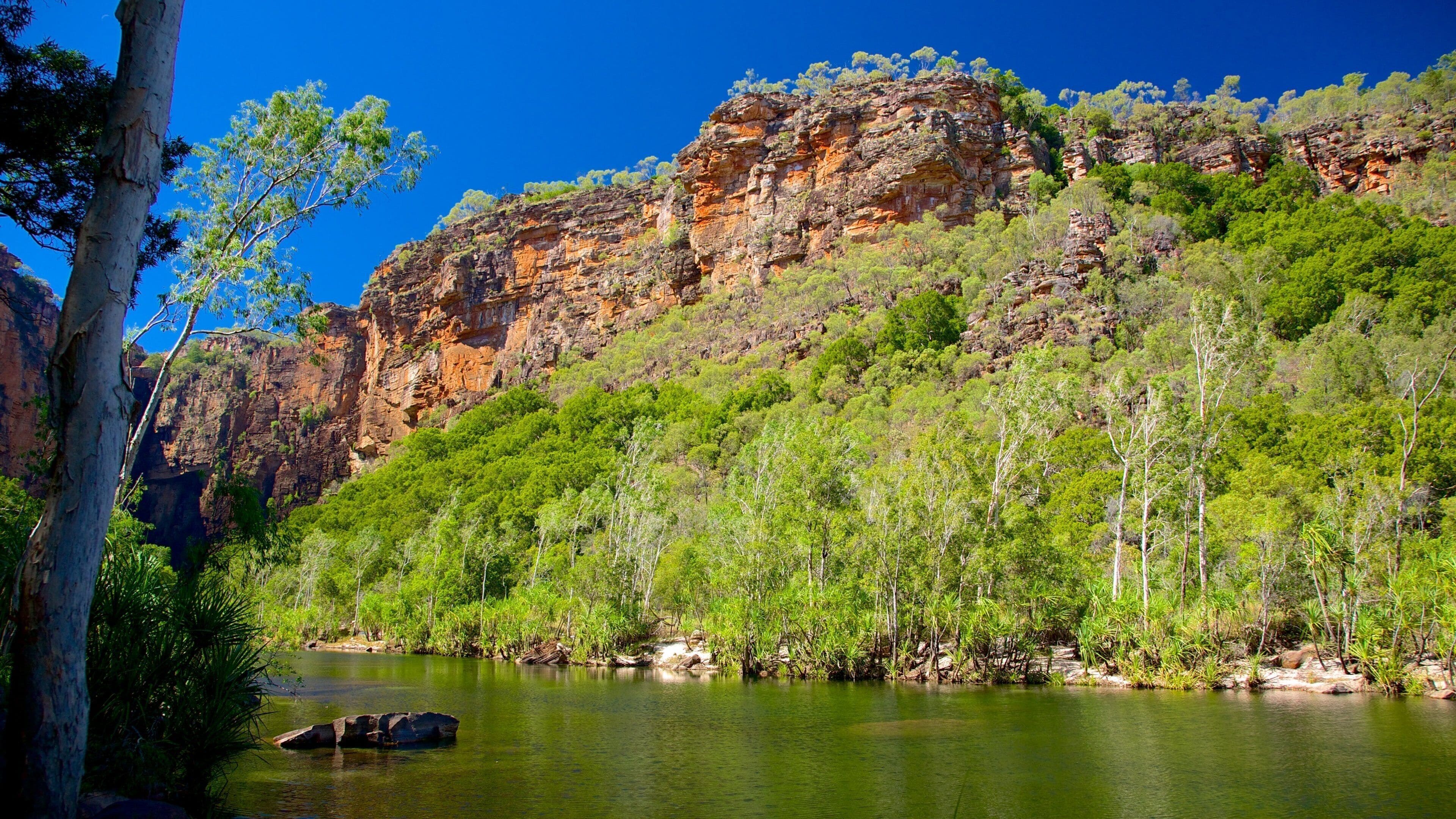 Cataratas Jim Jim ofreciendo vistas de paisajes y un río o arroyo