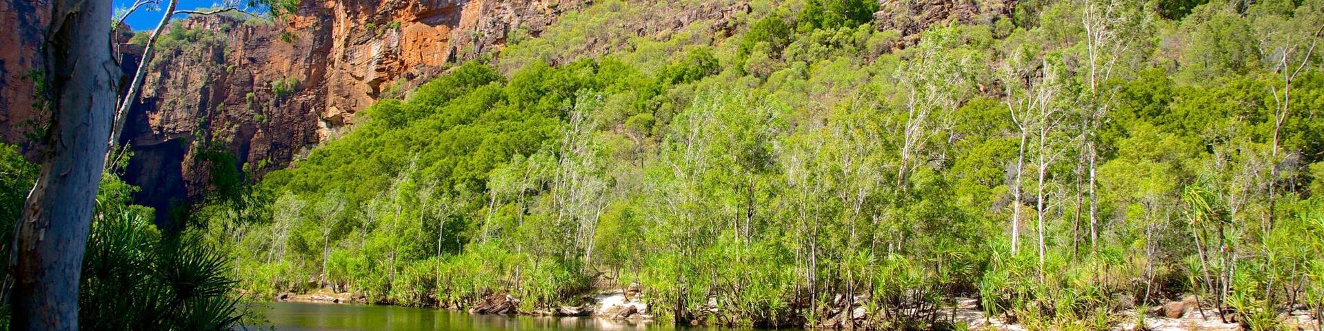 A river with a rocky cliff and green trees.