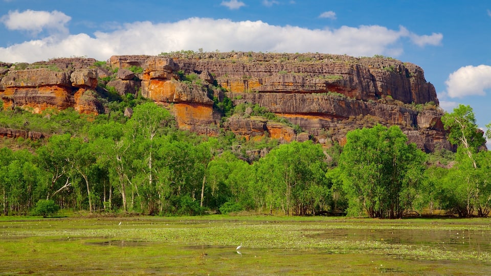 A large rock formation with green trees in the foreground and a clear sky.