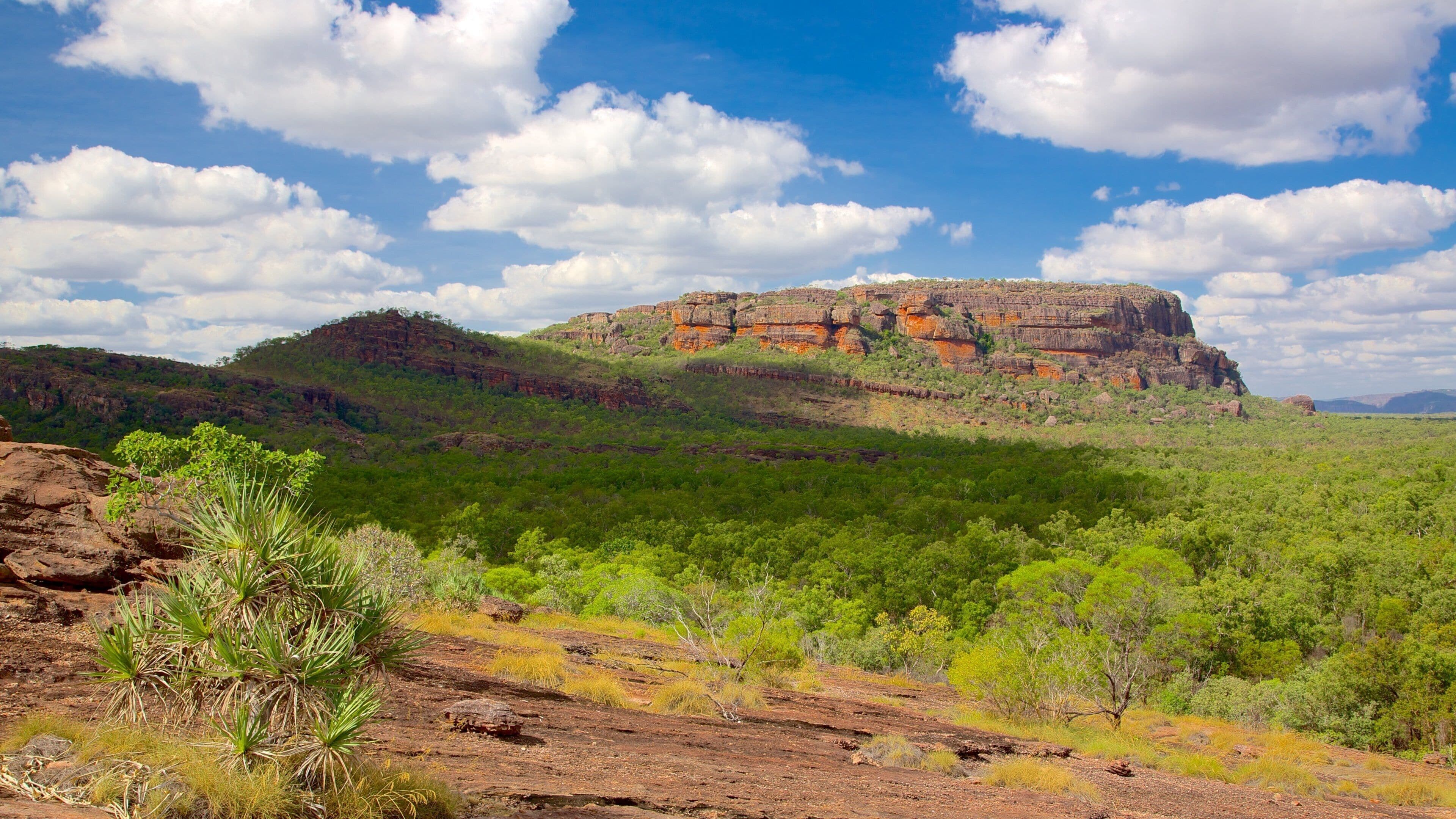 A rugged landscape with a prominent rock formation, dense green vegetation, and a clear blue sky with scattered clouds.
