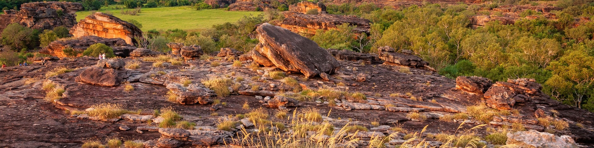 A rugged landscape with prominent rock formations and a distant view of green hills under a cloudy sky.