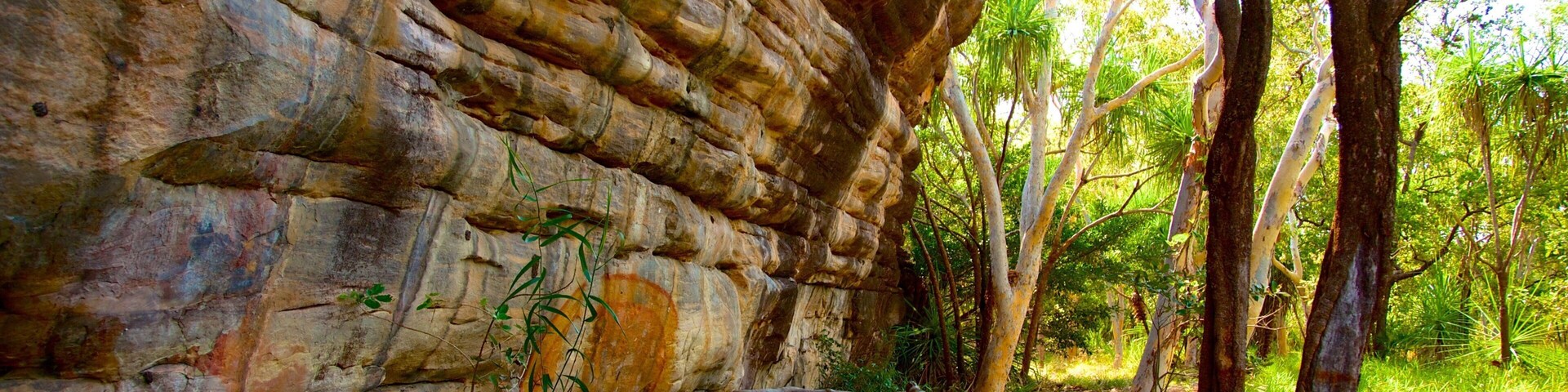 A rocky cliff with a metal railing and a pathway.