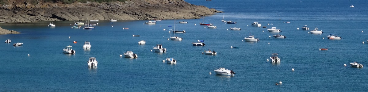 A coastal scene with numerous boats anchored in the water, a rocky shoreline with greenery, and a clear sky with clouds.