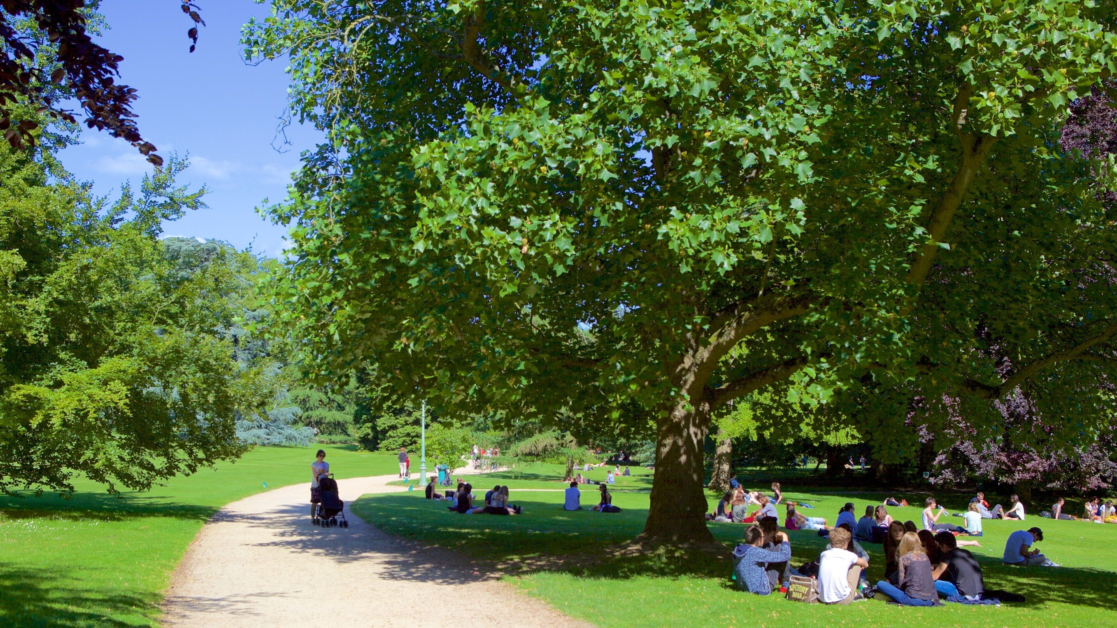 Thabor Botanic Gardens showing a park as well as a small group of people