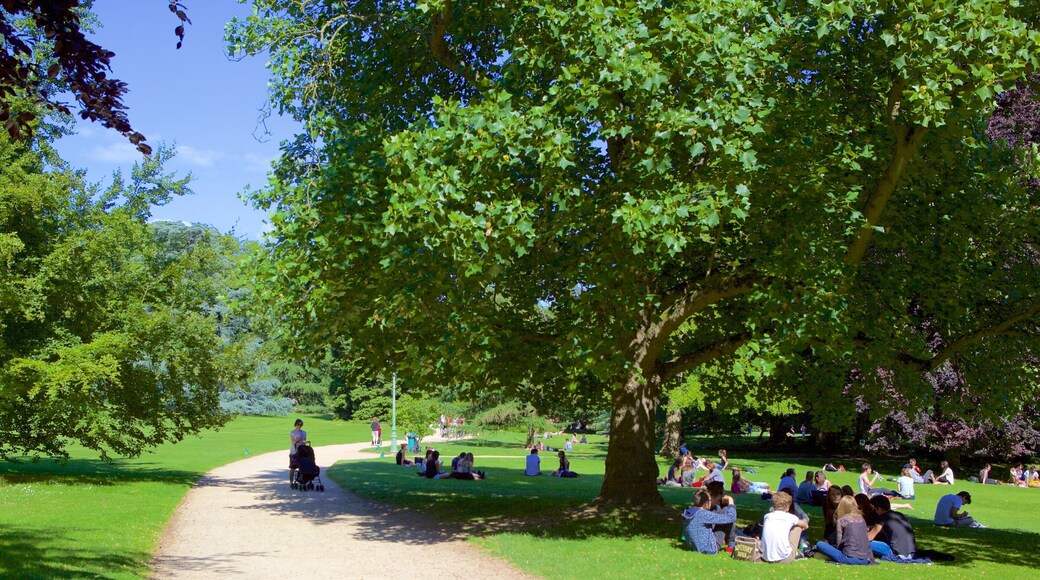 Thabor Botanic Gardens showing a park as well as a small group of people