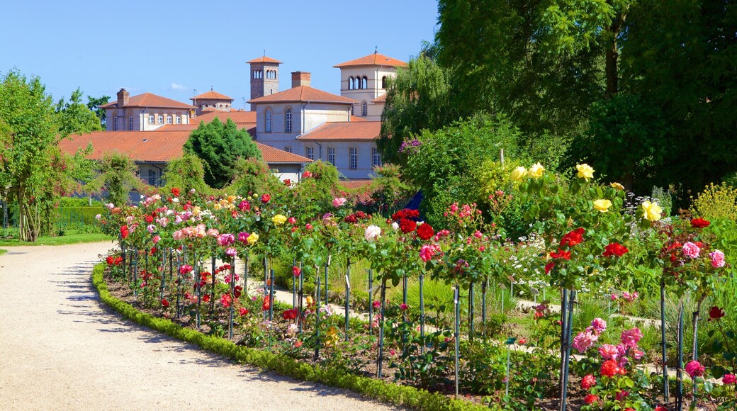 Thabor Botanic Gardens เนื้อเรื่องที่ สวน และ ดอกไม้