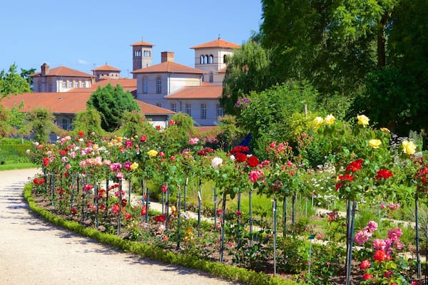 Parc du Thabor mettant en vedette fleurs et jardin