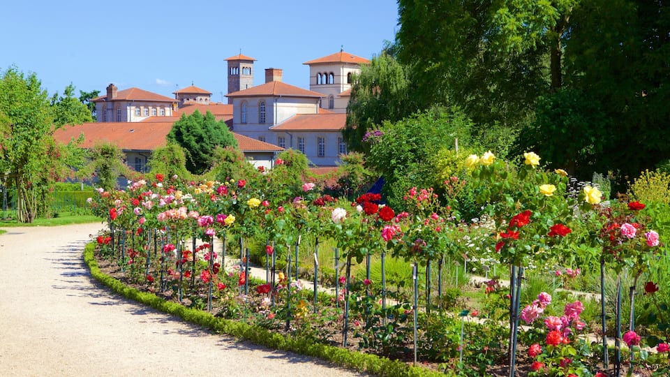 Parc du Thabor das einen Blumen und Park
