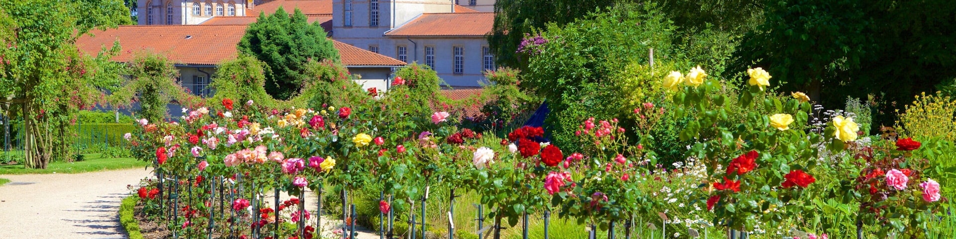 Jardim Botânico do Thabor que inclui um jardim e flores