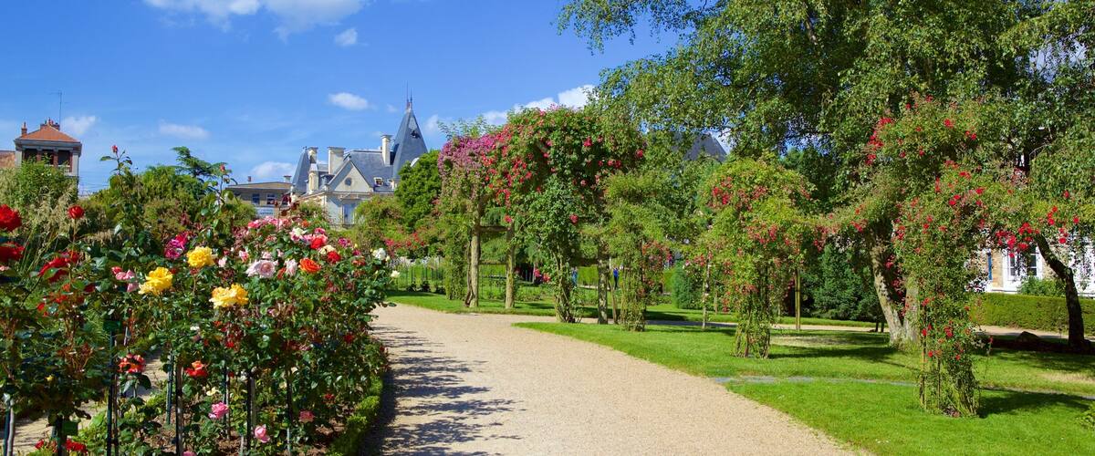 Thabor Botanic Gardens showing a park and flowers