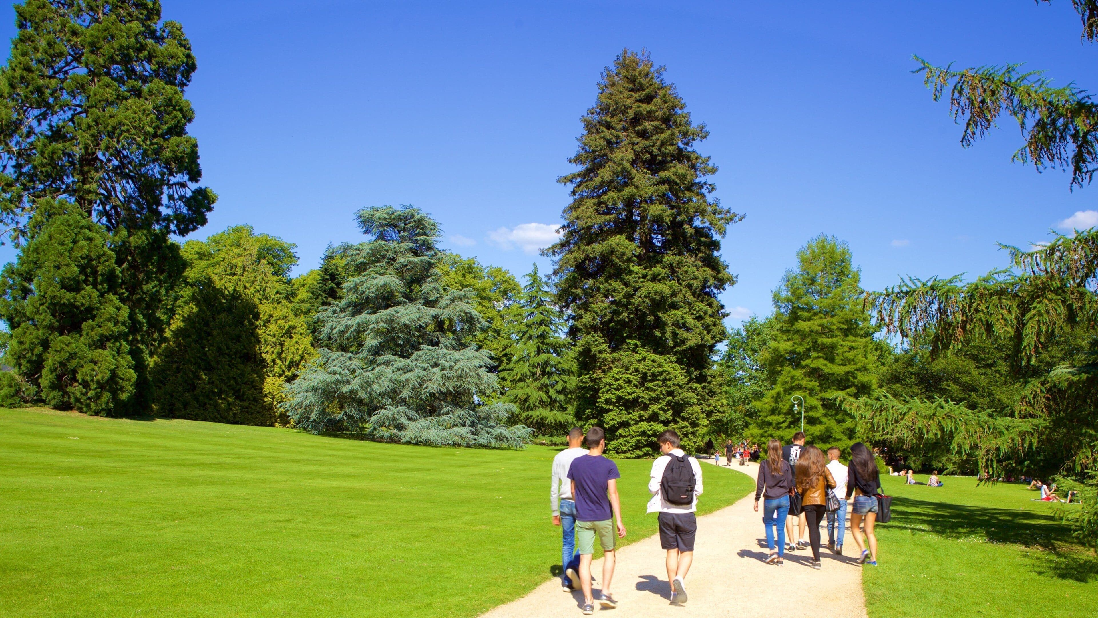Thabor Botanic Gardens showing a park as well as a small group of people