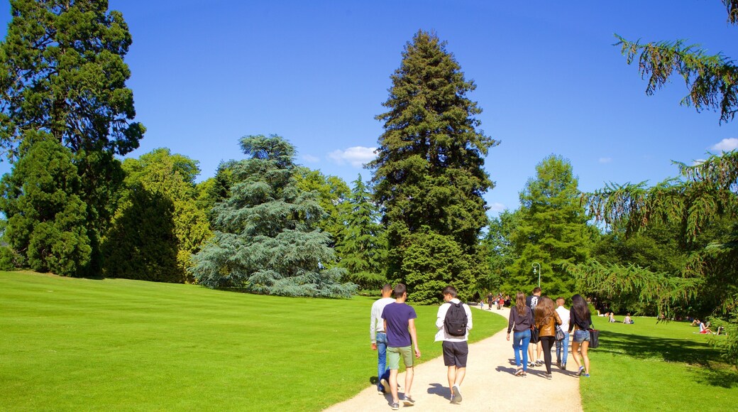 Thabor Botanic Gardens showing a park as well as a small group of people