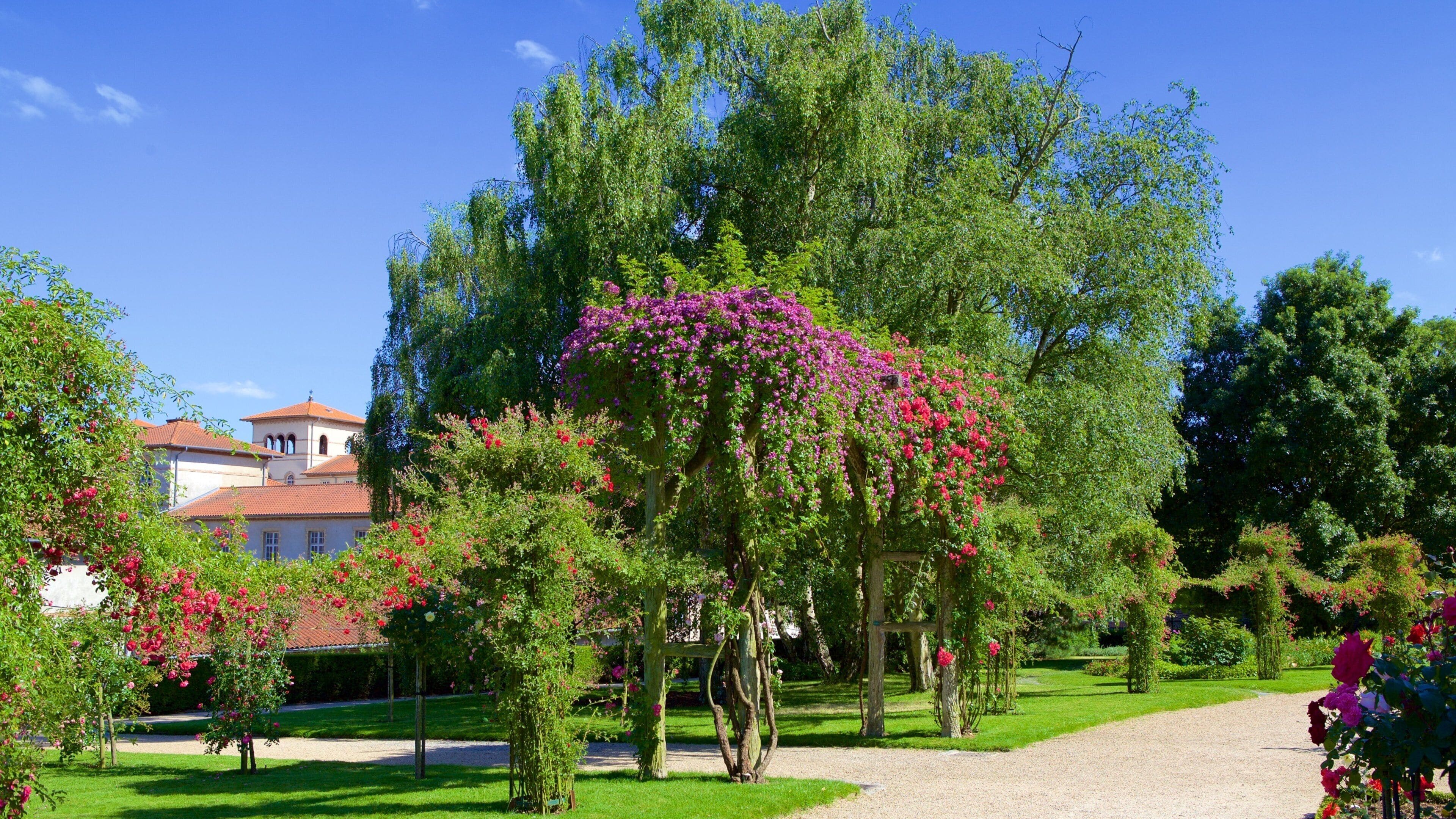 Thabor Botanic Gardens ซึ่งรวมถึง สวนสาธารณะ