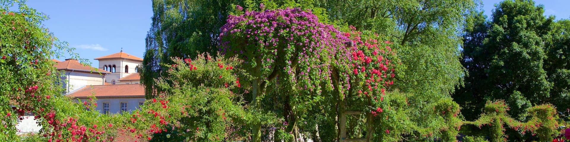 Thabor Botanic Gardens which includes a garden