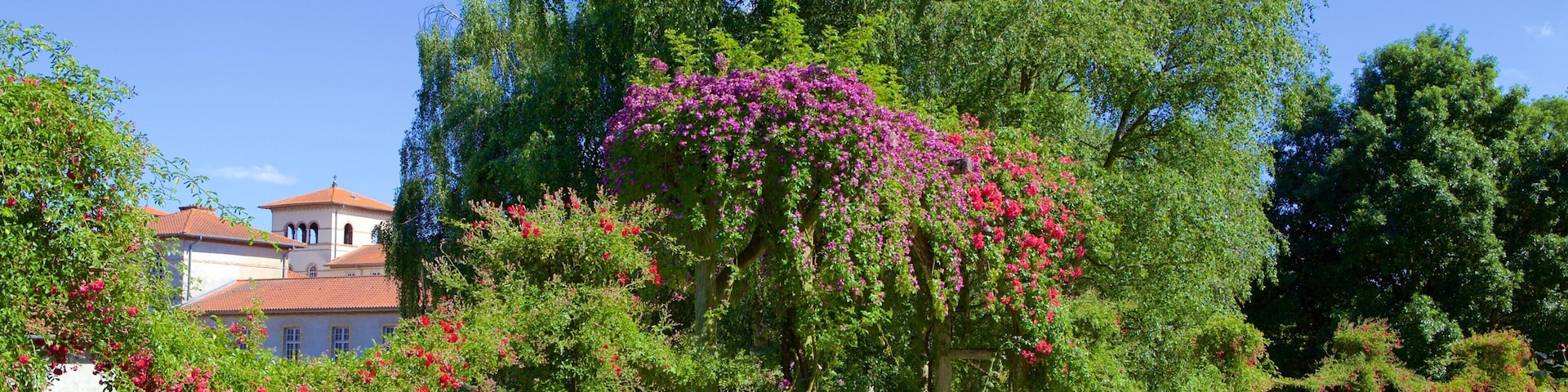 Thabor Botanic Gardens which includes a garden