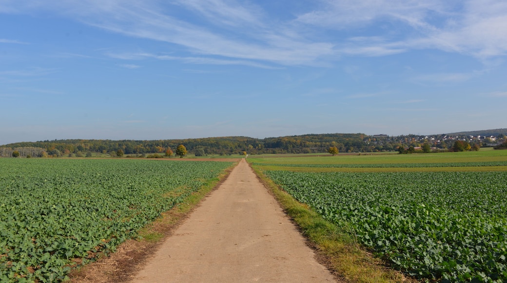 Blick in Richtung Bahnstrecke