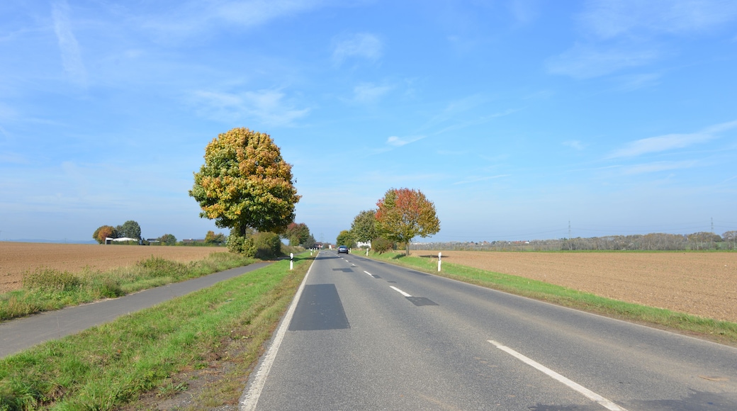 L3475 Blick in Richtung Linden