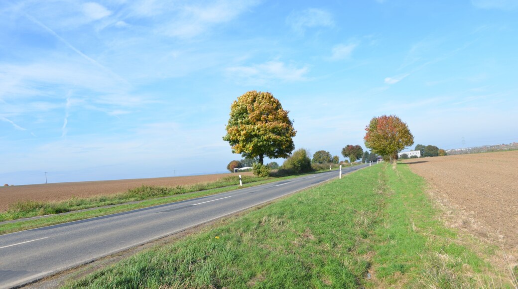 35428 Langgöns, Germany