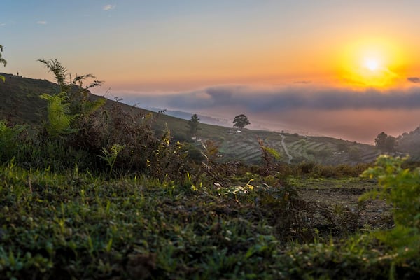 A sunrise over a hilly landscape with dense vegetation and a misty valley.