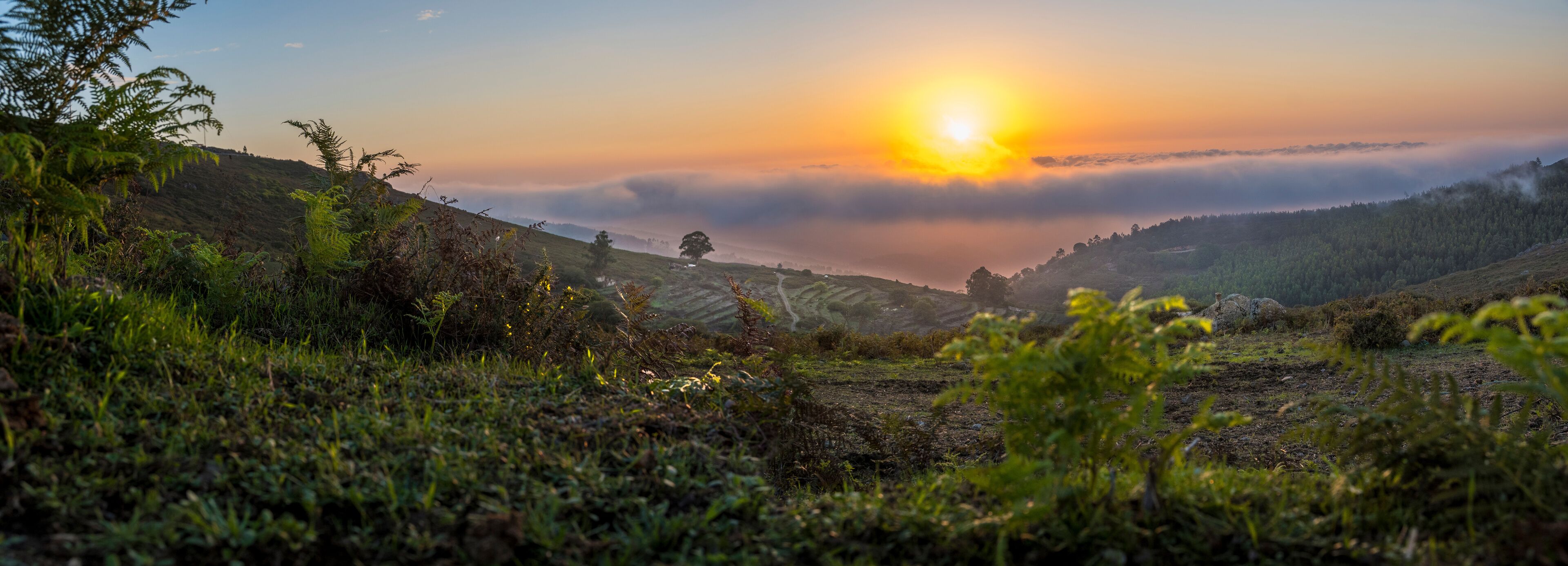 A sunrise over a hilly landscape with dense vegetation and a misty valley.